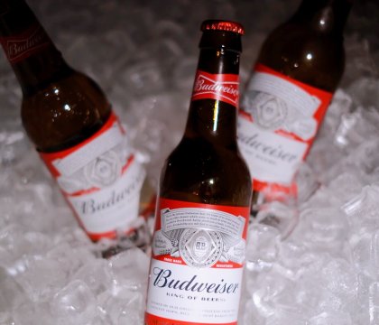 Bia Budweiser (chai)